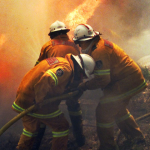 Fighting the 2003 fires