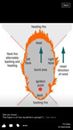 Timeline Photos