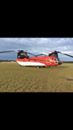Timeline Photos