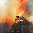 Winmalee Rural Fire Brigade