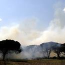 After the floods, grassy plains fuel fears