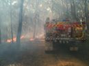 Winmalee RFB Hazard Reductions